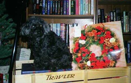 Little Lady Xmas 2001