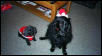 LadyG & Little Lady Xmas outfits