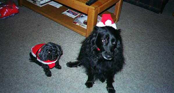 LadyG & Little Lady Xmas outfits