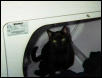 Laundry Helper