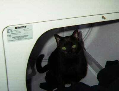 Laundry Helper