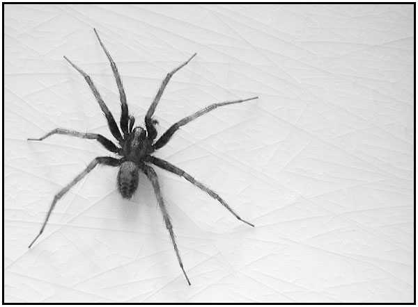 In my bathroom  sink this morning