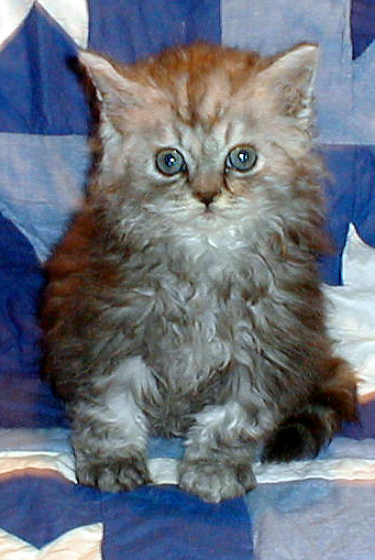 Stunning Sterling