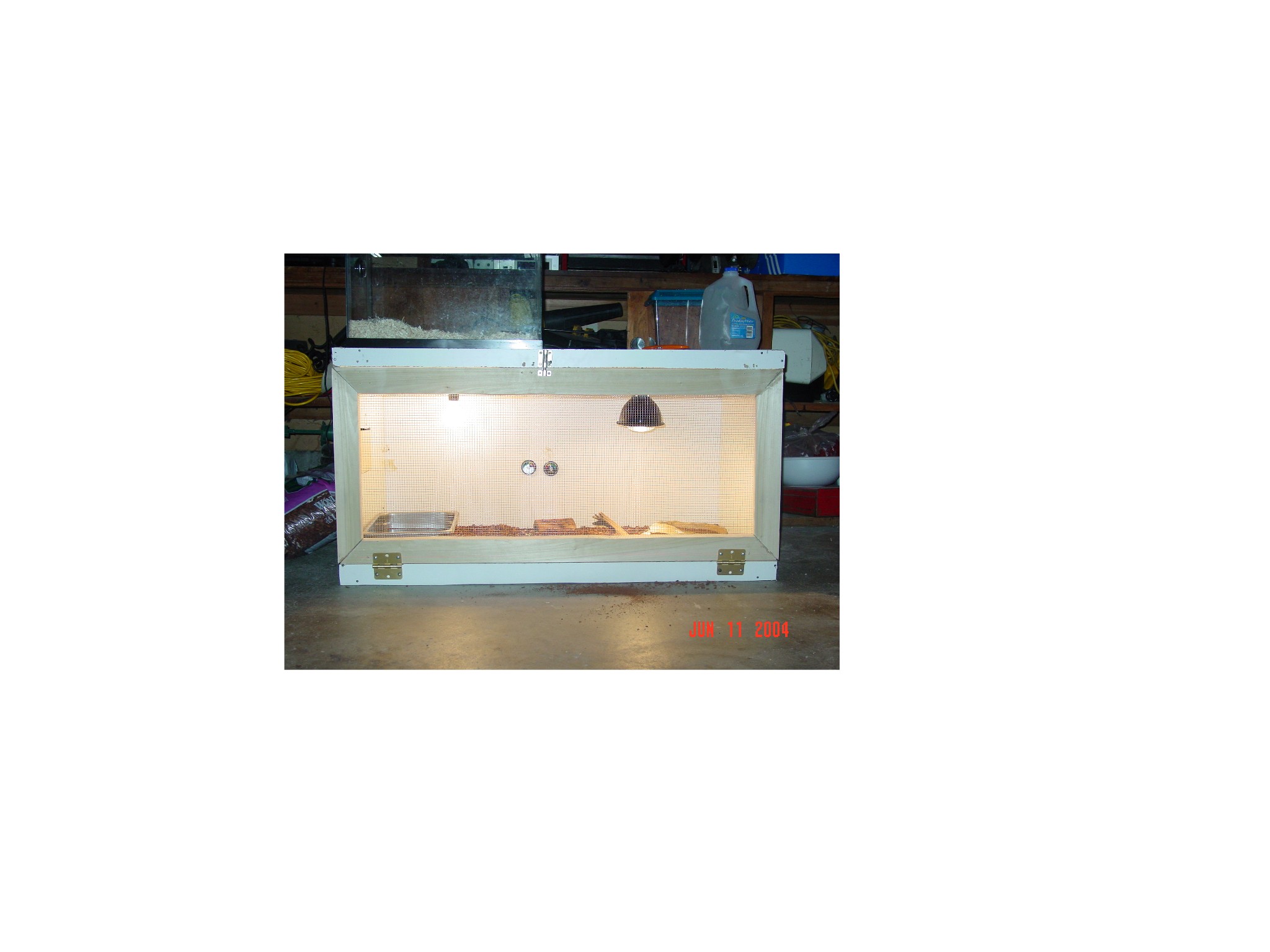 First Custom Tegu enclosure