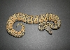 hypo pastel