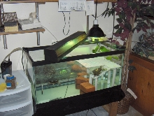 RES Whole Tank shot