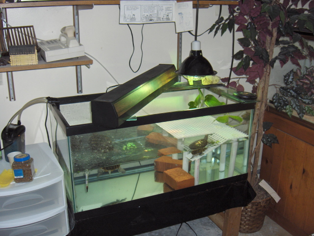 RES Whole Tank shot