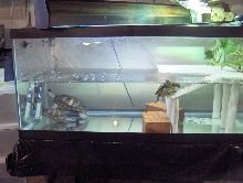 RES Whole Tank from side
