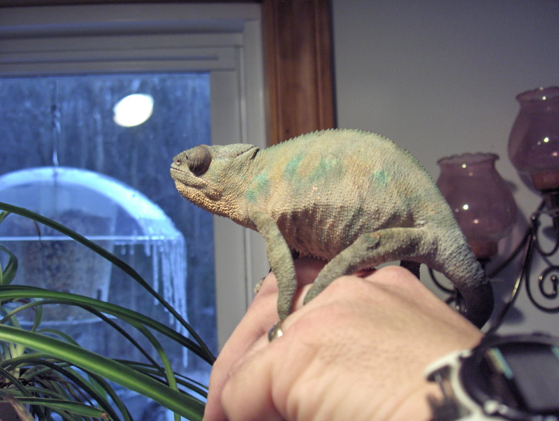Latest Pic of Wilma
