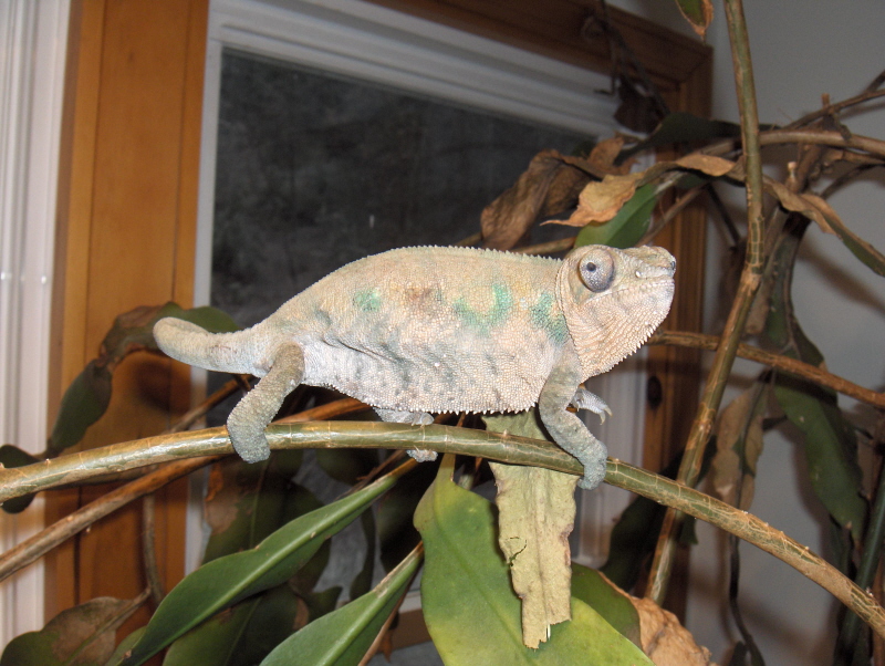 Another recent pic of Wilma