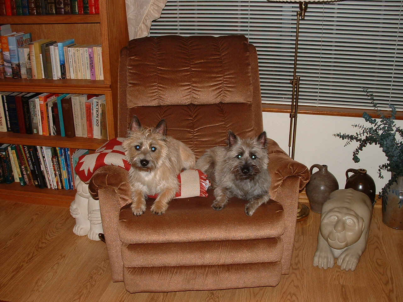 Bridget and Fergus