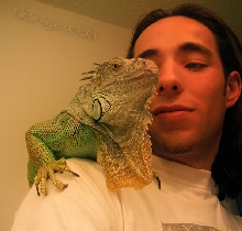 Iguana and I