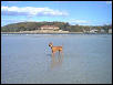 Where'd those seagulls go??