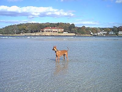 Where'd those seagulls go??