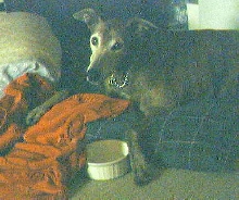 Skeeter's last day