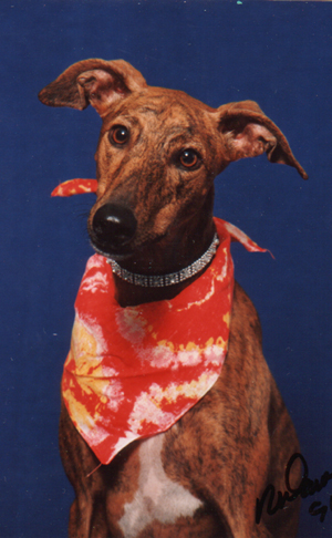 Skeeter in her hey-day...