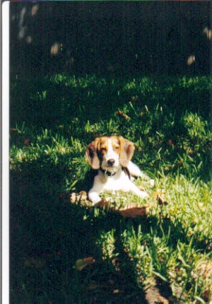 BUSTER
