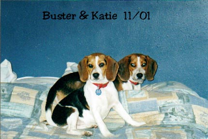 Katie & Buster