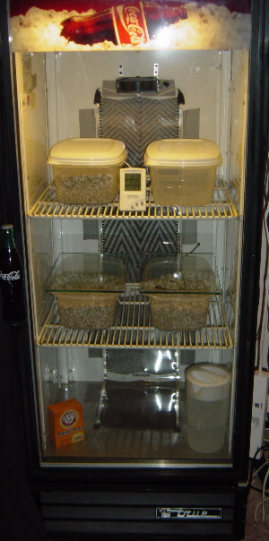 coke fridge incubator