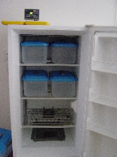 incubator07