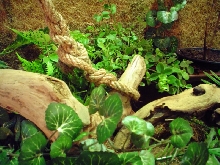 vivarium2