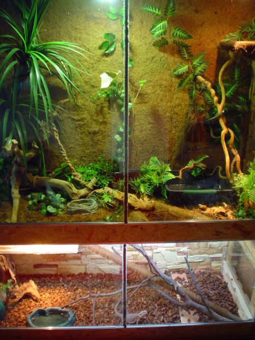 Reptile home