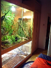 terrarium`s