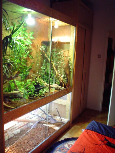 terrarium`s