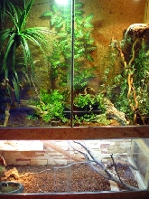 Terrarium - front view