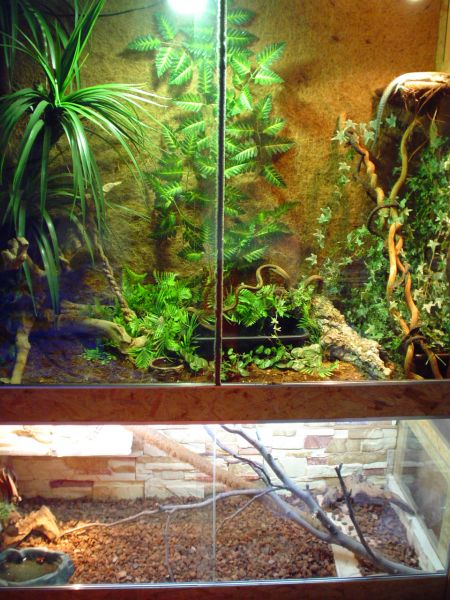 Terrarium - front view