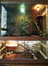 my terrarium for beardies, waterdragons and ameivas
