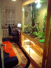 terrarium for Bearded and Water Dragons