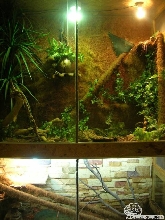 Terrariums