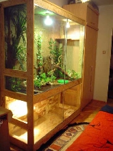Terrarium for Water and Bearded Dragons
