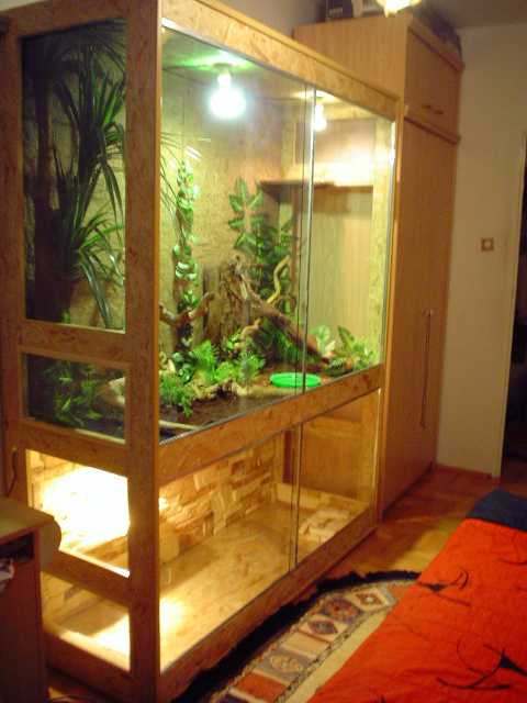 Terrarium for Water and Bearded Dragons