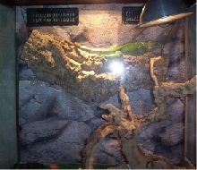 Top Half of Koa's Cage