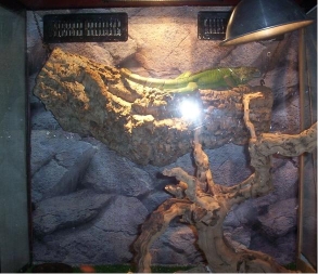 Top Half of Koa's Cage