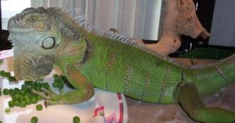 laying around on his food.