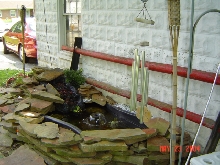 My Pond