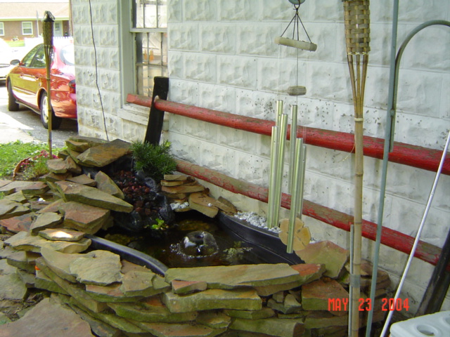 My Pond