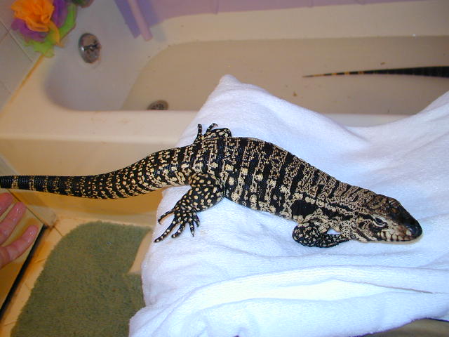 male