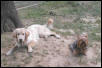The Kids