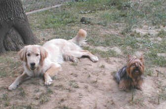 The Kids