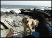 He HATES the ocean!