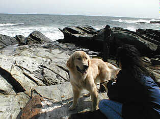 He HATES the ocean!