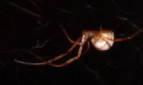what is this?