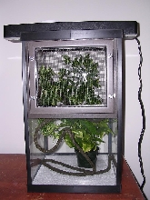 Cage setup1