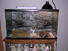 Python Enclosure