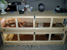 new cage