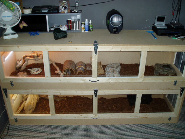 new cage